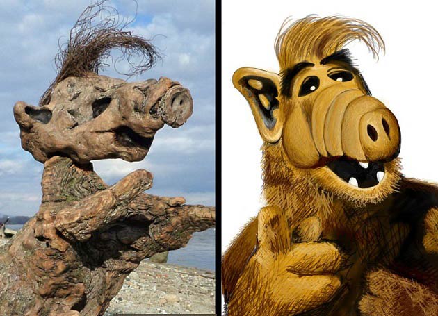 ۶۲۵۶۵۸ - mihanfal.com (1)