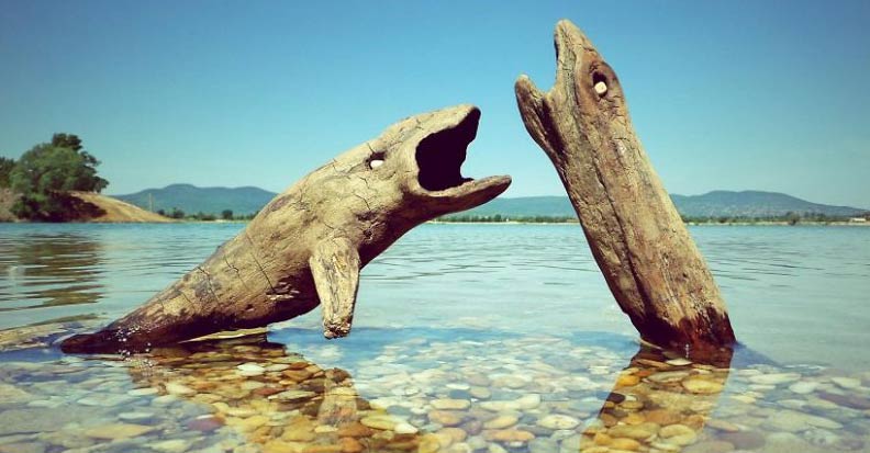 ۶۲۵۶۵۸ - mihanfal.com (11)