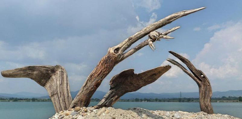 ۶۲۵۶۵۸ - mihanfal.com (12)