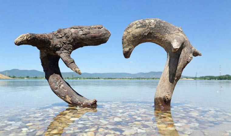 ۶۲۵۶۵۸ - mihanfal.com (3)