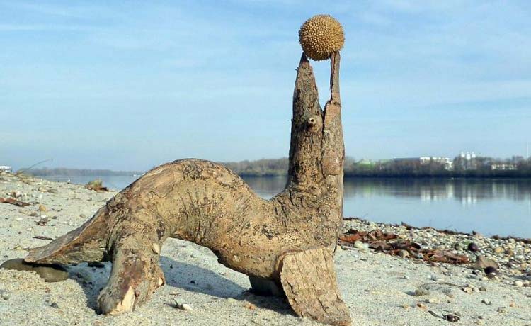 ۶۲۵۶۵۸ - mihanfal.com (7)