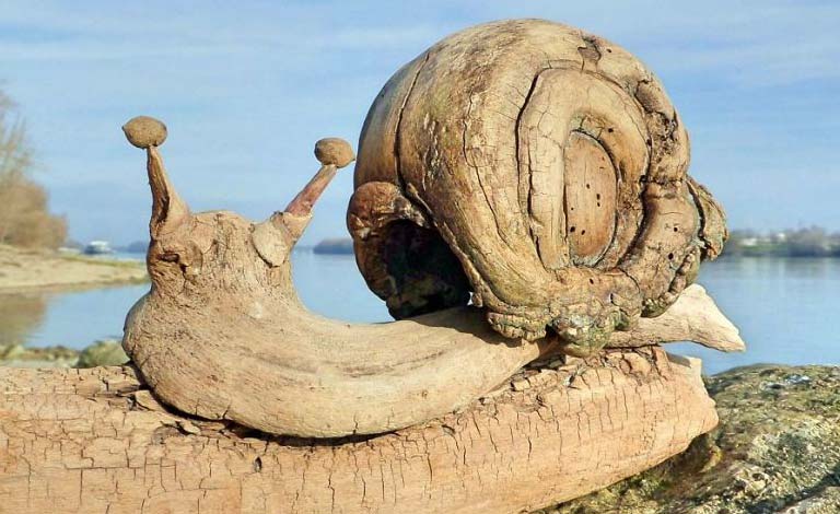 ۶۲۵۶۵۸ - mihanfal.com (8)