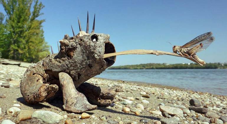 ۶۲۵۶۵۸ - mihanfal.com (9)