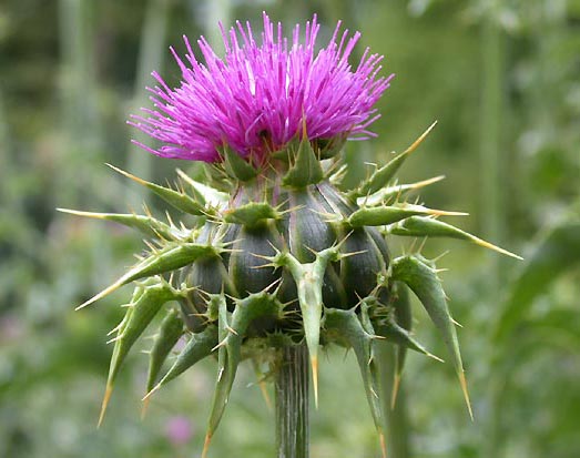 ۰۰۰۷۶۱۳۱۰۵