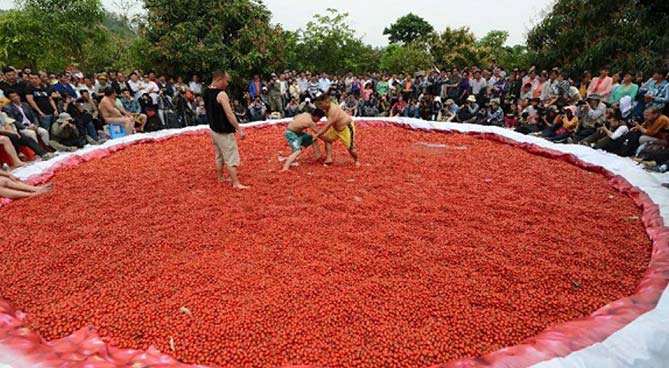 ۵۵۶۹ - Mihanfal.com (6)