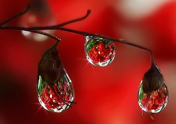 ۰۰۰۷۶۱۳۱۲۳