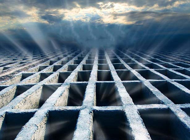 ۰۰۰۷۶۱۳۲۲۴