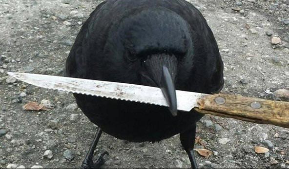 ۰۰۰۷۶۱۳۲۳۴