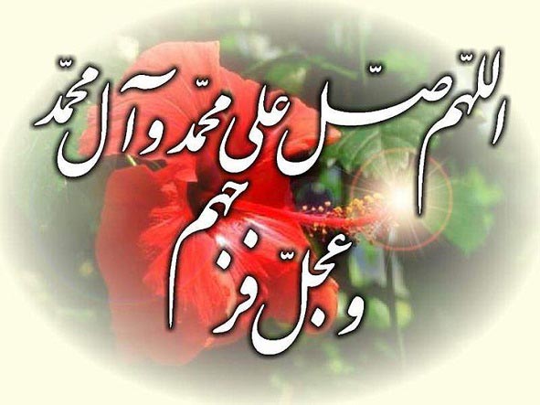 ۳۰۰۱۲۶۲