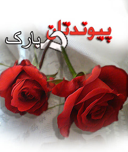 wedding-greeting-cards4-e12