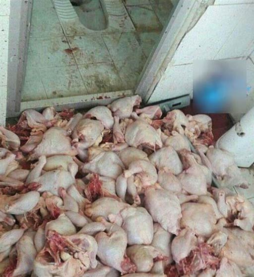 93354 - Mihanfal.com (1)