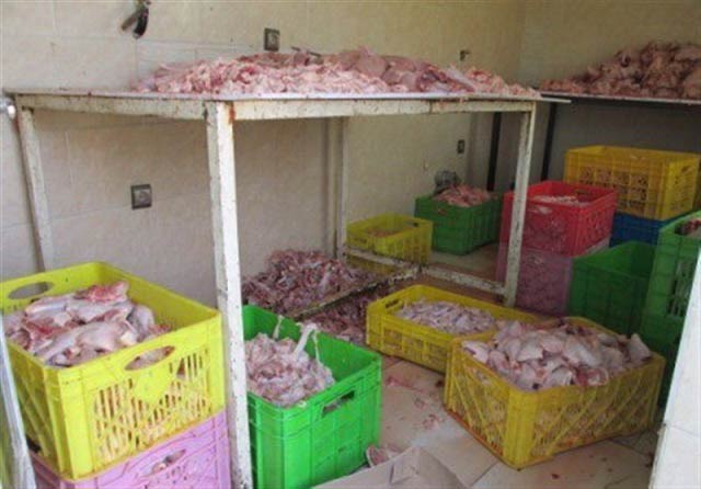 93354 - Mihanfal.com (4)