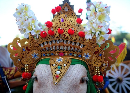 جشنواره ای در بالی اندونزی