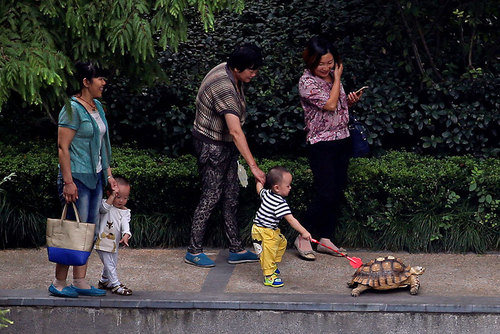 شانگهای