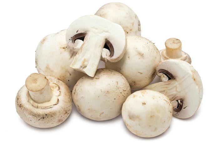 خوردن قارچ برای چه کسانی مضر است؟
