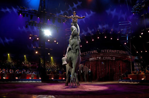 چهل و یکمین نمایشگاه بین المللی سیرک مونت کارلو