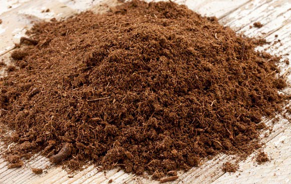 پیت ماس چیست و چه کاربردی دارد؟