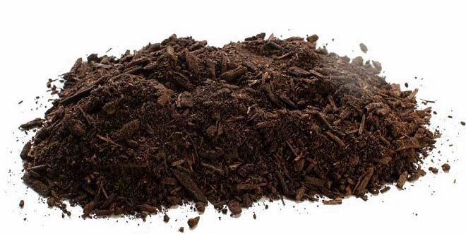 پیت ماس چیست و چه کاربردی دارد؟