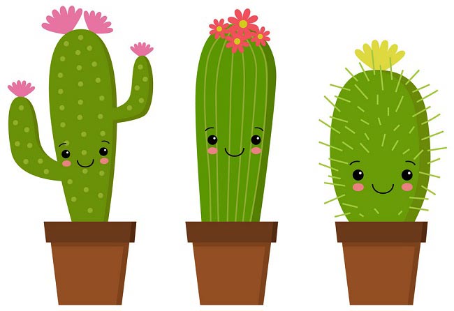 چرا اندازه کاکتوس من کوچک شده؟