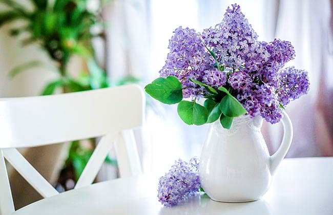 فواید نگهداری گل در خانه
