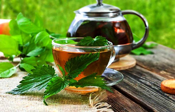 خواص عرق گزنه