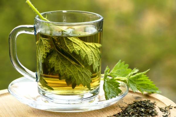 خواص عرق گزنه