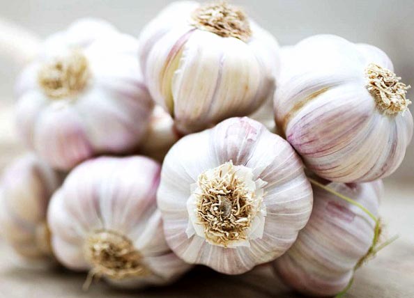 ۲۲ ماده غذایی برای تقویت شیر مادر