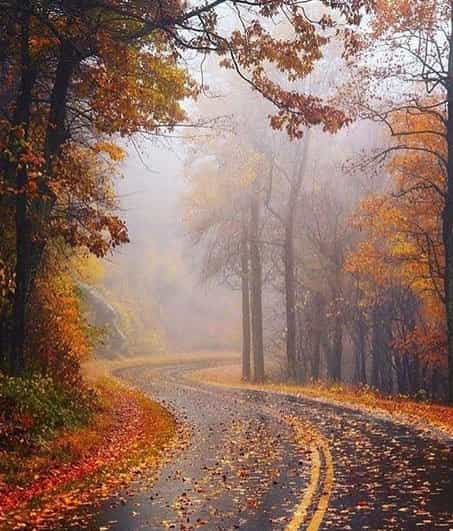 ...بوی تر پاییز دما تا ۱۰ درجه کاهش می‌یابد...