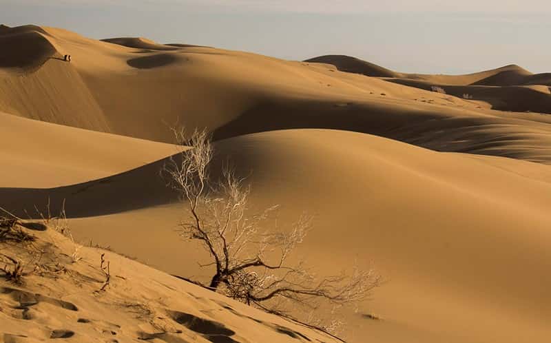 کویر مرنجان را چقدر می شناسید؟
