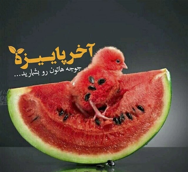 کارت تبریک شب یلدا