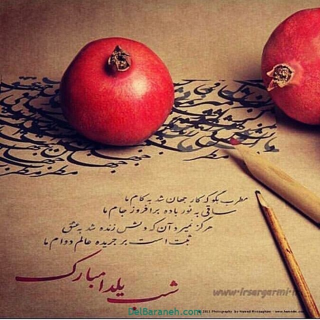 عکس پروفایل شب یلدا