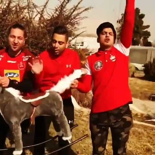 توهین نژادپرستانه هواداران پیروزی به تورک های ایران