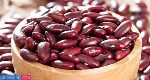 لوبیا