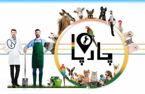 از کجا حیوان خانگی بخریم