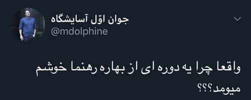 سوژه شدن عکس عاشورایی بهاره رهنما